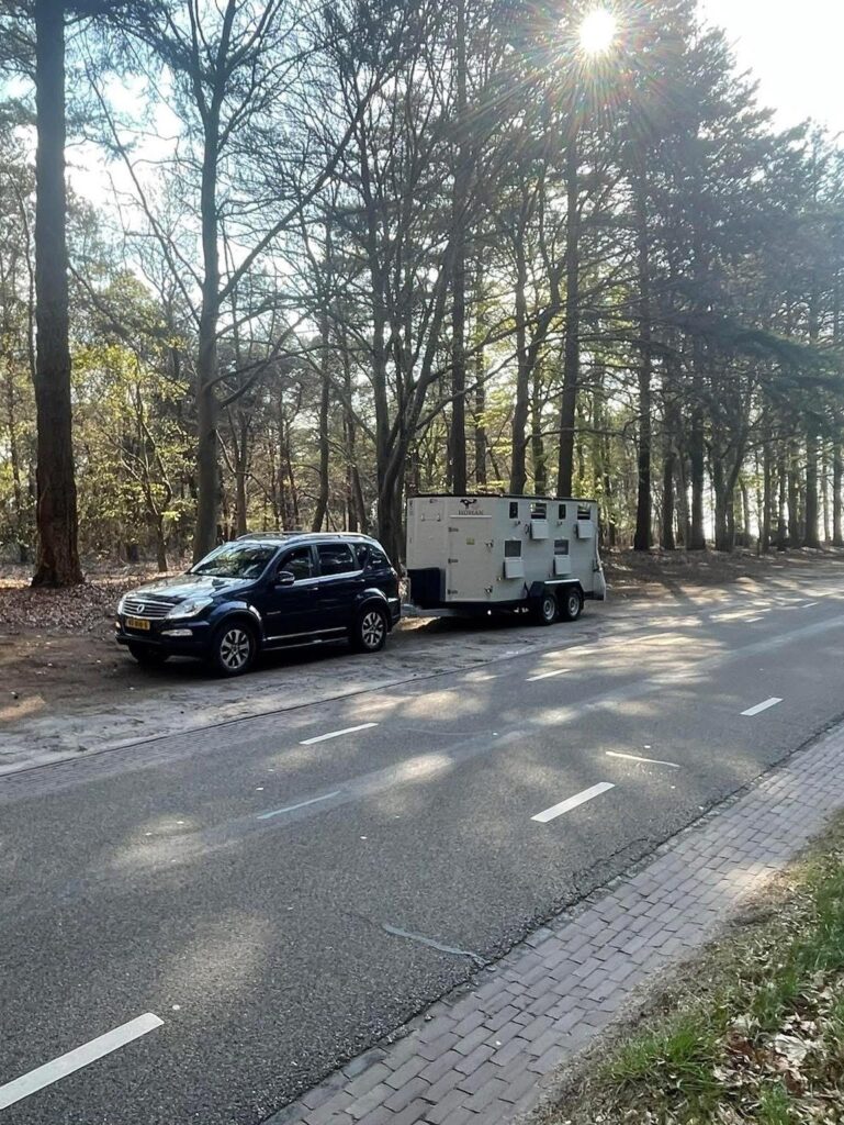 veehandel-homan (4)