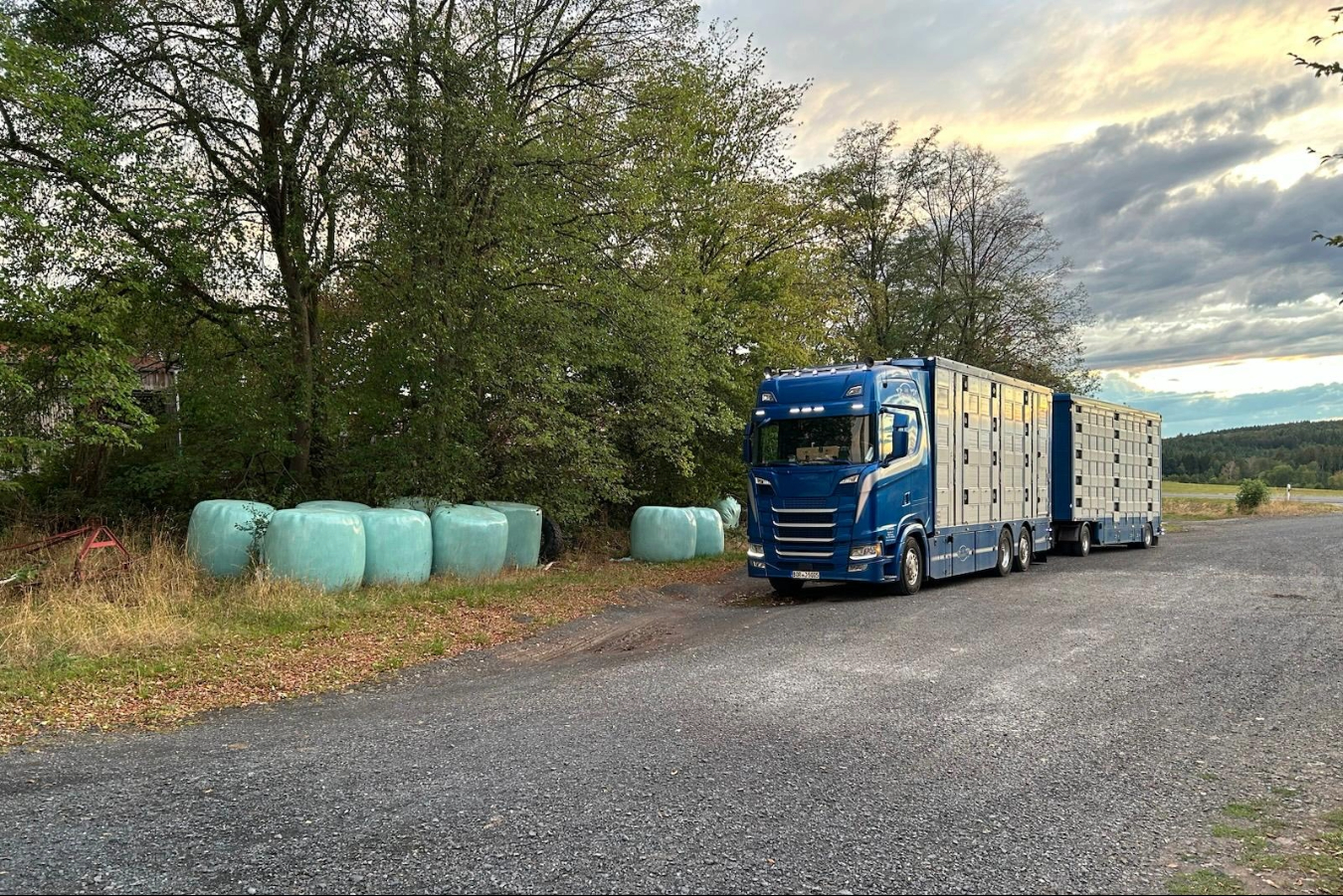 truck-homan-1